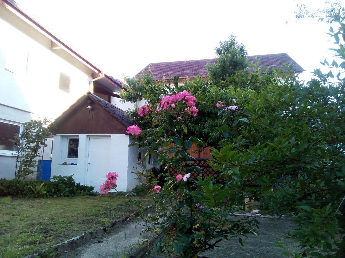 Gasthaus Adler Sinsheim
